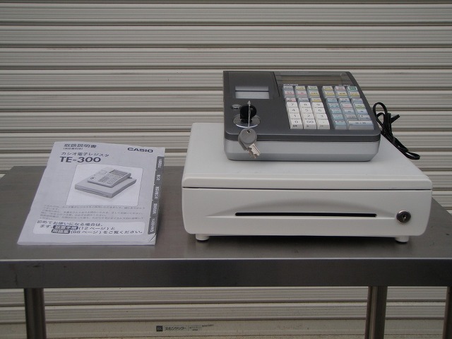 ＴＥ-300